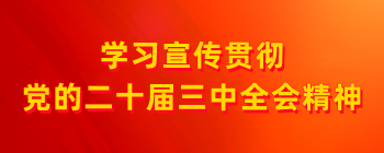學習宣傳貫徹黨的二十屆三中全會精神