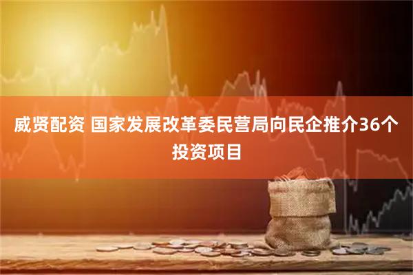 威贤配资 国家发展改革委民营局向民企推介36个投资项目