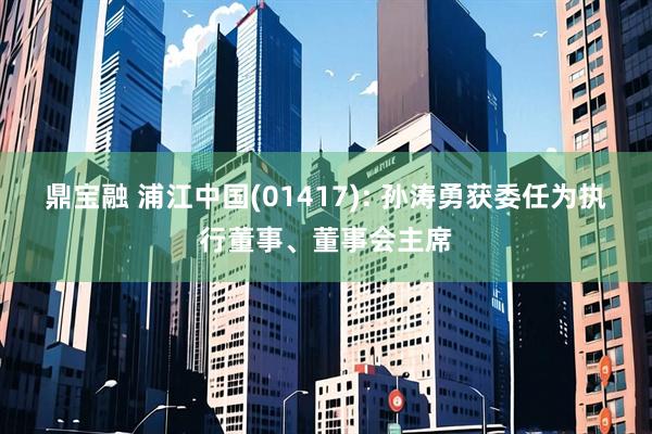 鼎宝融 浦江中国(01417): 孙涛勇获委任为执行董事、董事会主席
