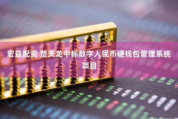宏益配资 楚天龙中标数字人民币硬钱包管理系统项目
