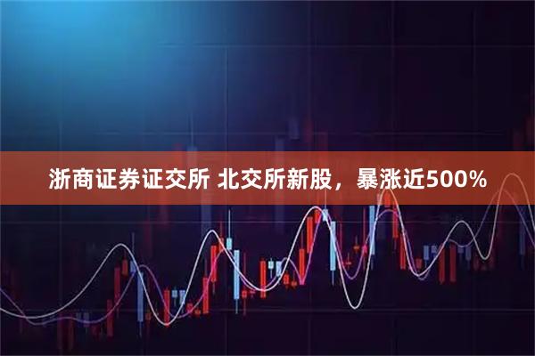 浙商证券证交所 北交所新股，暴涨近500%